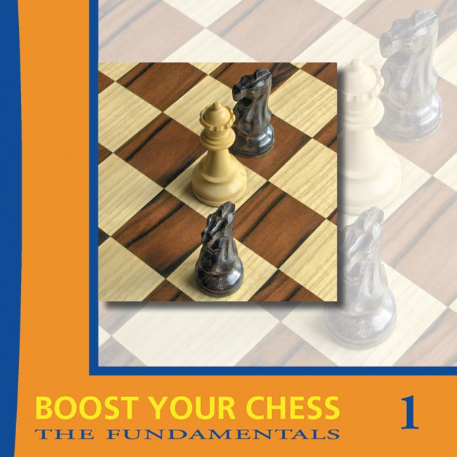 Grandmaster Preparation - Positional Play by Jacob Aagaard, Improvement  chess book by Quality Chess