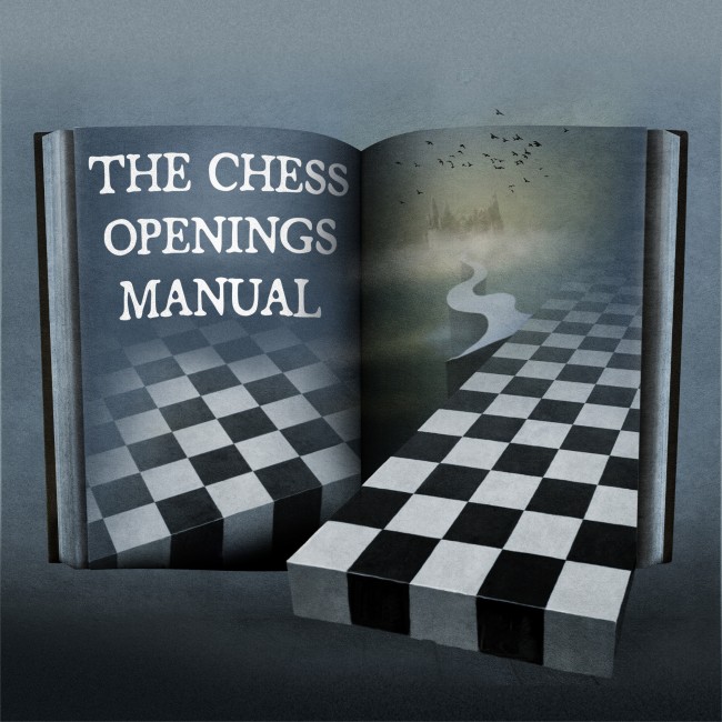 Chess Opening Secrets Revealed*: Chess: Understanding the Ruy