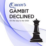 Behind The Queen's Gambit, The New Antiquarian